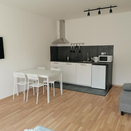 Brand New Studio Apartment #21 With Free Secure Parking In The Center 프라하 외부 사진