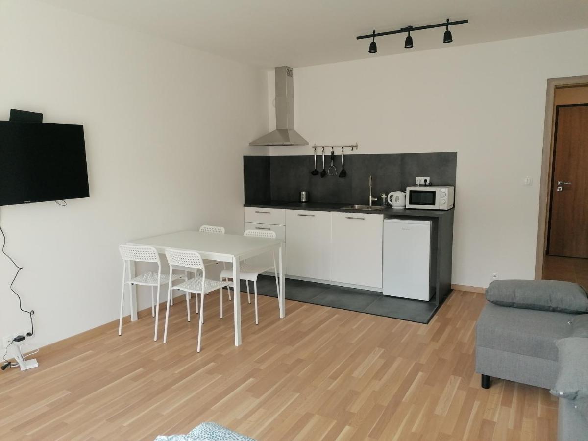 Brand New Studio Apartment #21 With Free Secure Parking In The Center 프라하 외부 사진