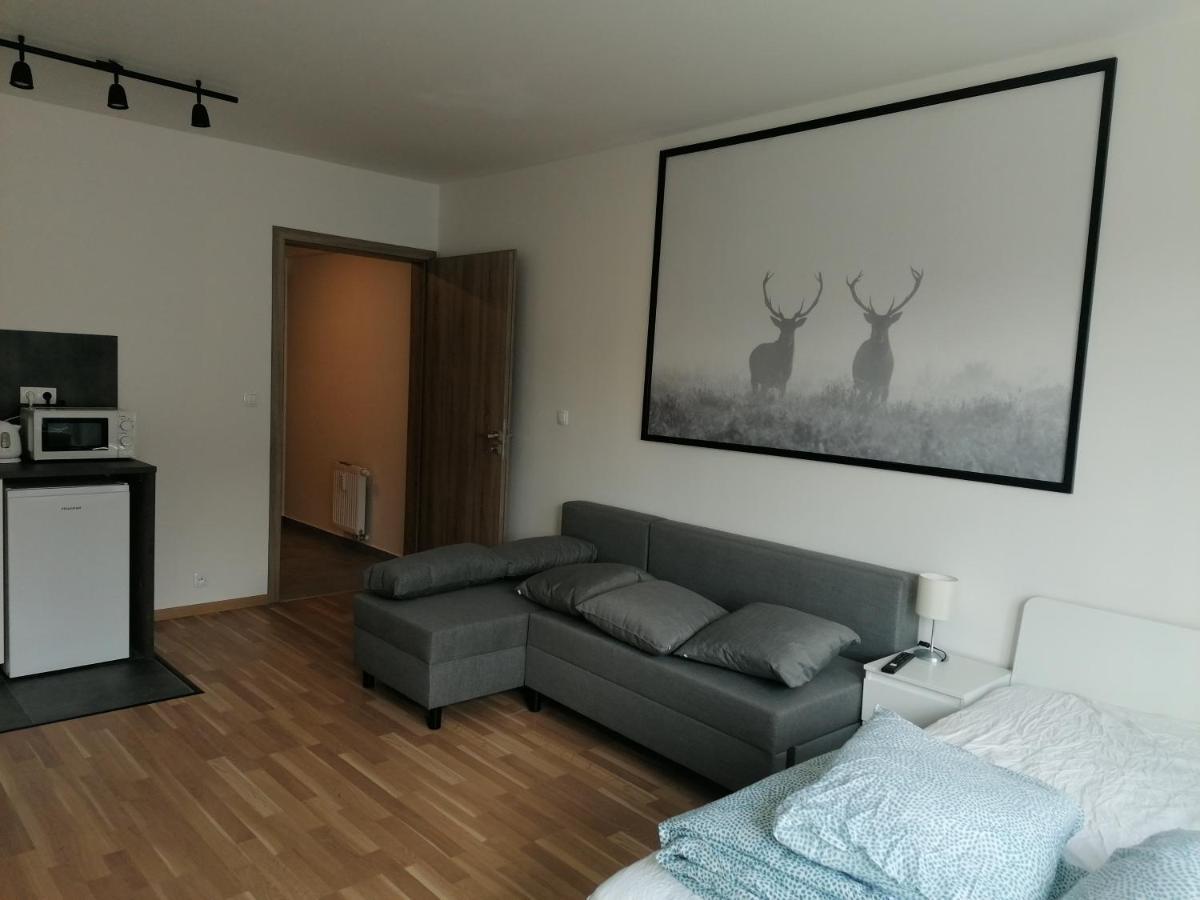 Brand New Studio Apartment #21 With Free Secure Parking In The Center 프라하 외부 사진